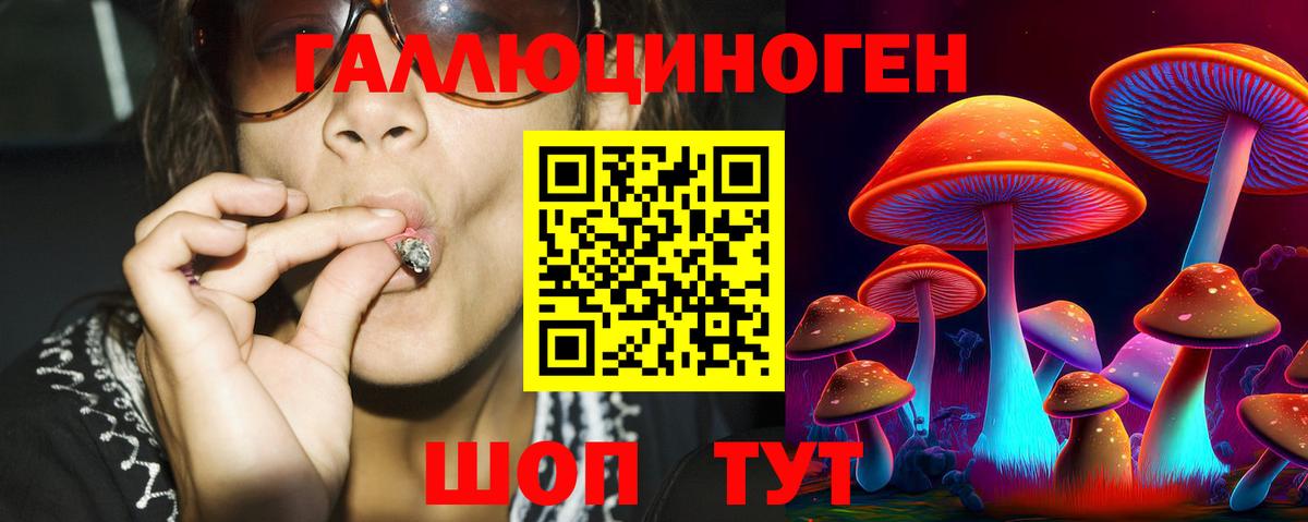 Галлюциногенные грибы GOLDEN TEACHER Муром